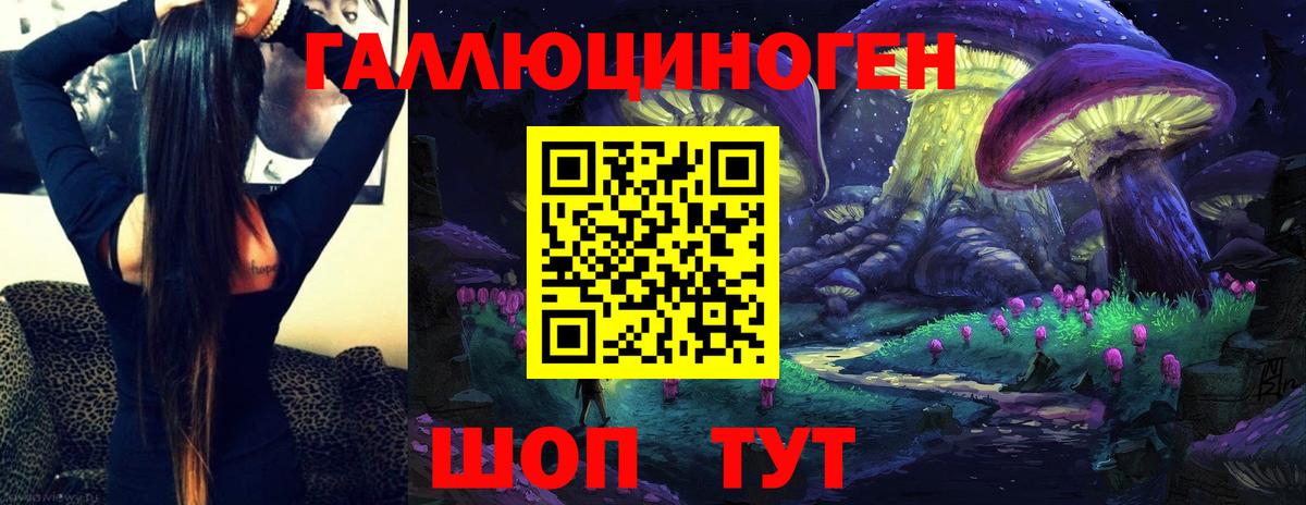 Сухой Лог  Галлюциногенные грибы прущие грибы  Галлюциногенные грибы прущие грибы  Вход с VPN 